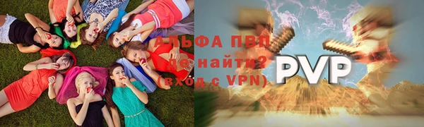 стаф Бронницы