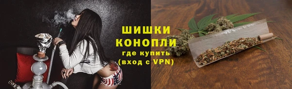 прущий лед Бородино