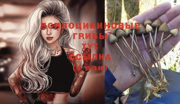 прущий лед Бородино