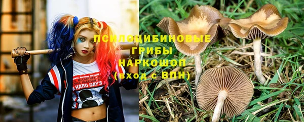 прущий лед Бородино