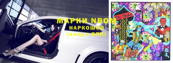 прущий лед Бородино