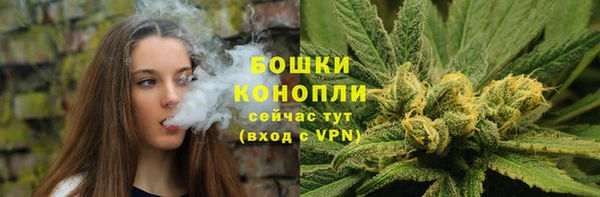 стаф Бронницы