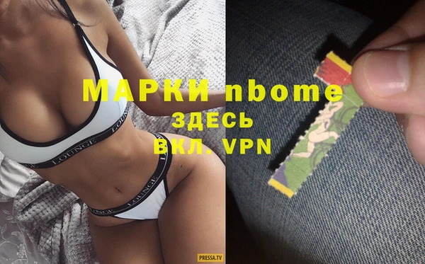 прущий лед Бородино