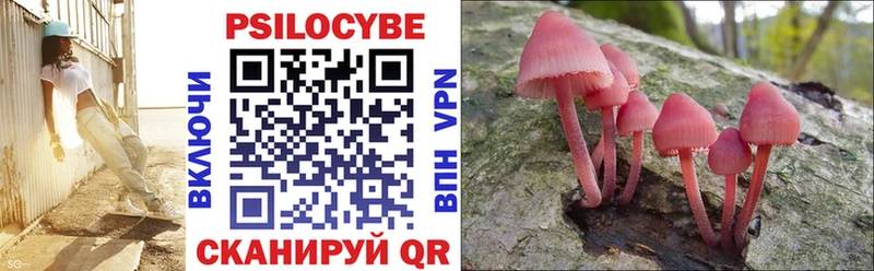 Галлюциногенные грибы Cubensis  сколько стоит  Буйнакск 